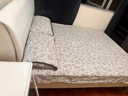Bishan Loft (D20), Condominium #552312441